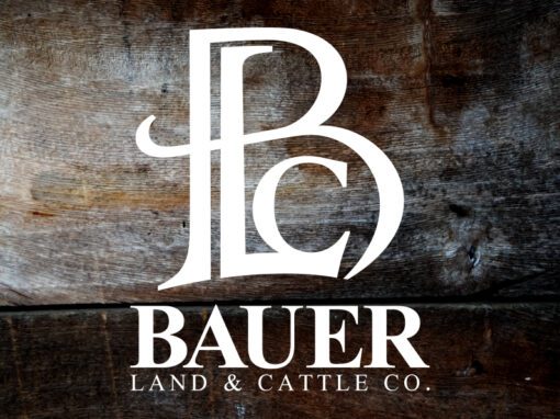 Bauer Land & Cattle Co.